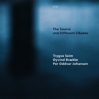 Seim Trygve - The Source And Different Cikadas