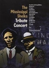 Blandade Artister - Mississippi Sheiks Tribute