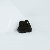 Wolfe Chelsea - Hiss Spun (2 Lp Vinyl)