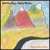 Mackay Bill & Ryley Walker - Spiderbeetlebee