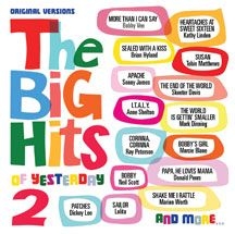 Blandade Artister - Big Hits Of Yesterday Volume 2 in the group CD / Pop at Bengans Skivbutik AB (3034727)