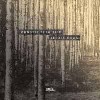 Berg Oddgeir (Trio) - Before Dawn