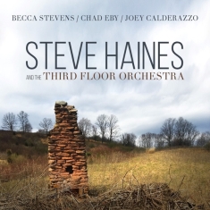 Haines Steve And The Third Floor Orchestra - Steve Haines And The Third Floor Orchestra