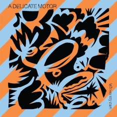 A Delicate Motor - Fellover My Own