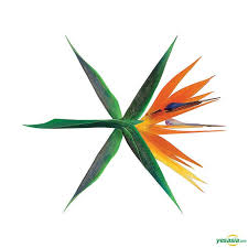 Exo - Vol.4 (The War) (Korean Version/Random Version)