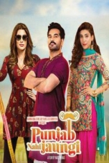 Punjab Nahi Jaungi - Film