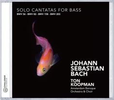 Amsterdam Baroque Orchestra & Ton Koopman - Johann Sebastian Bach: Solo Cantatas For Bass Bwv 56, 82, 158, 203