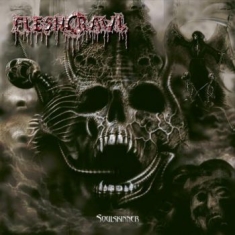 Fleshcrawl - Soulskinner - Lp