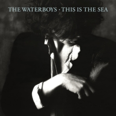 The Waterboys - This Is The Sea