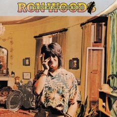 Ron Wood - I've Got My Own Album To Do