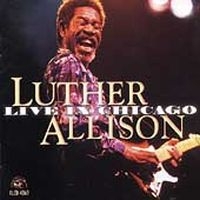 Allison Luther - Live In Chicago