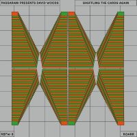 PASSARANI PRESENTS DAVID WOODS - SHUFFLING THE CARDS AGAIN