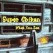 Super Chikan - What You See in the group CD / Rock at Bengans Skivbutik AB (544193)