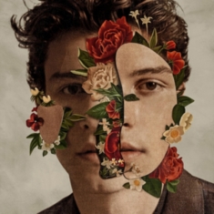 Shawn Mendes  - The Album