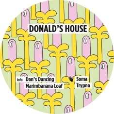 Donald's House - Dan's Dancing