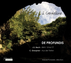 Il Gardellino - Bach: Cantatas Bwv 131 & 177 - Grau